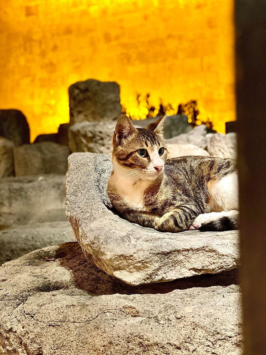 Cyprus — foto 1