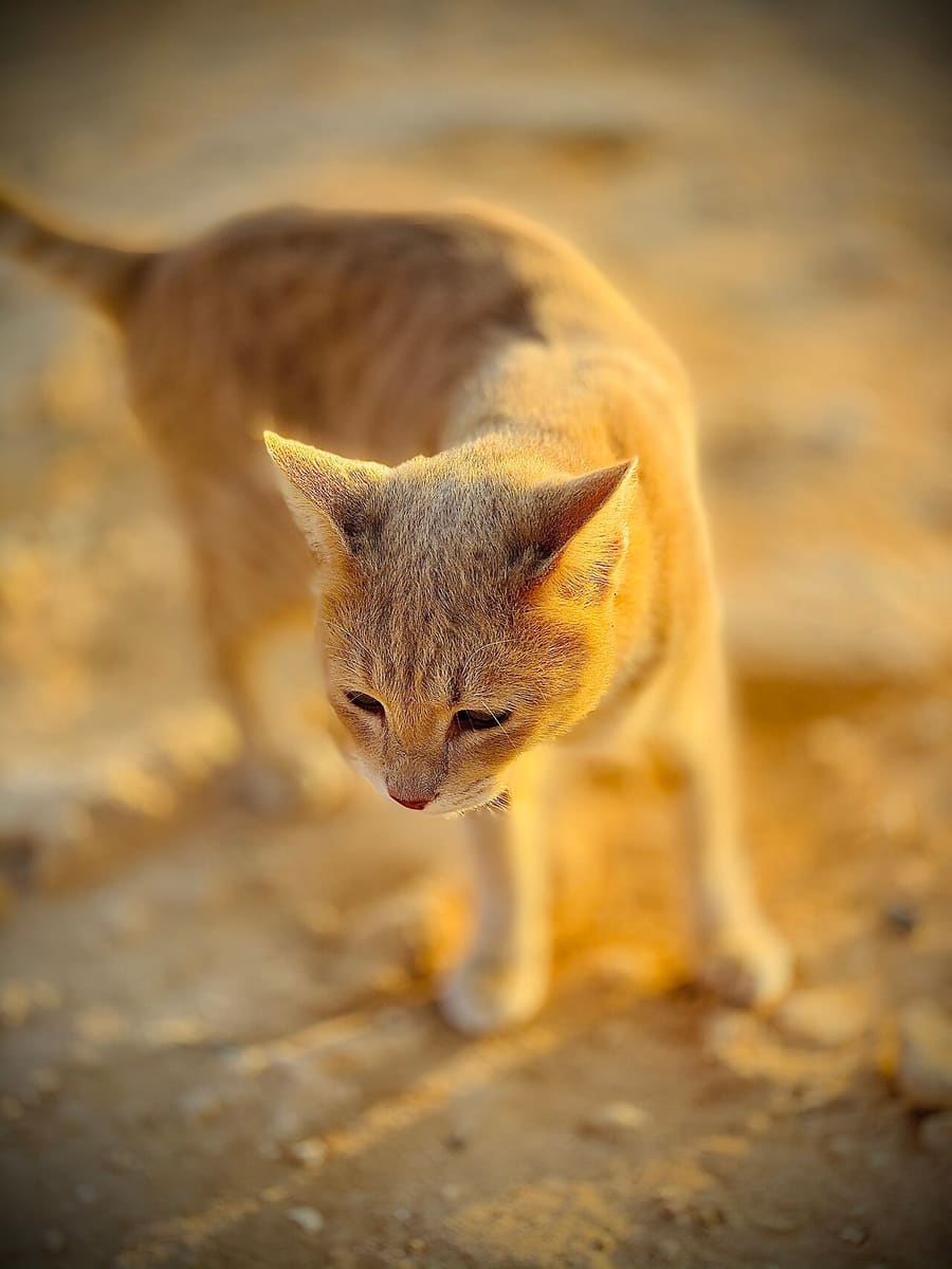 Cyprus — foto 2