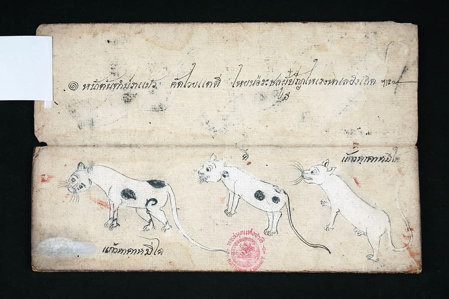 Khao Manee — foto 1