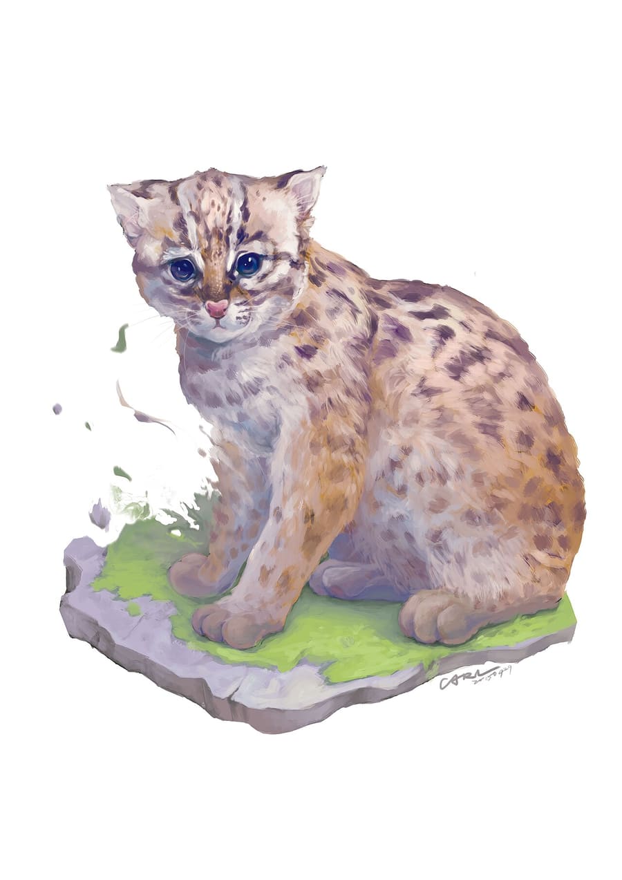 Ilustrasi digital anak kucing kuwuk